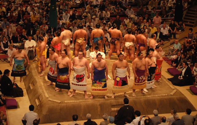 Sumo (copy)